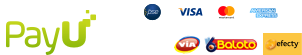 payments